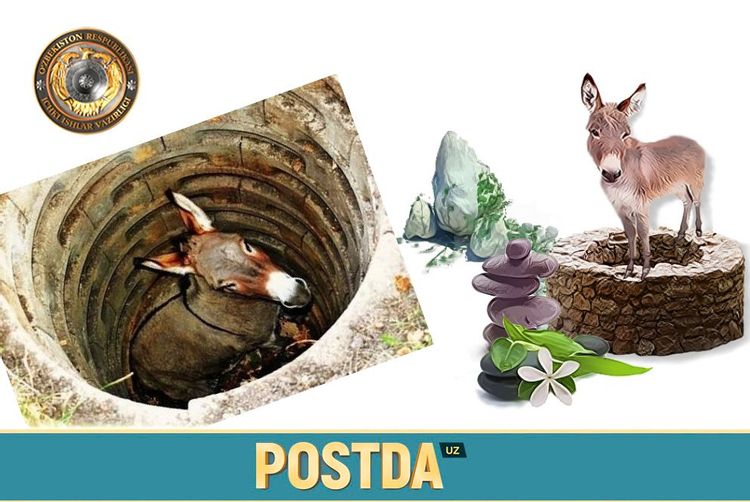 Hayot otadigan «toshlar»