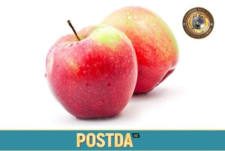 Ibratli hikoya: SINOVGA UCHRAGAN OLMA