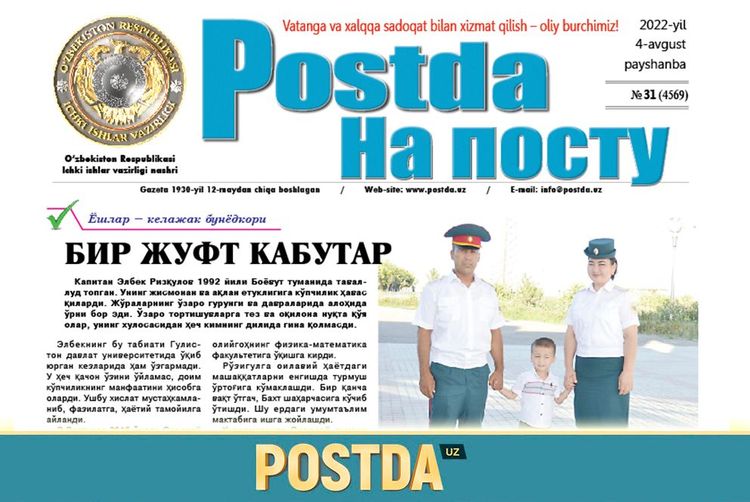Бир жуфт кабутар
