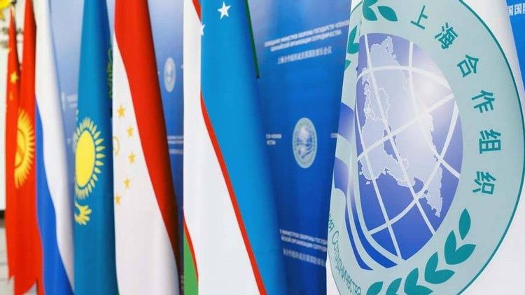 Шанхайская организация сотрудничества