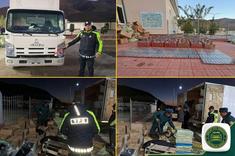 “Isuzu”ga yashirilgan paqildoqlar
