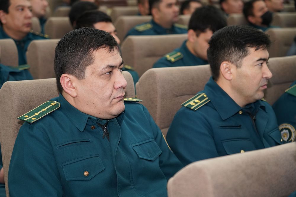 Qaror ijrosini taʼminlasn yoʻlida