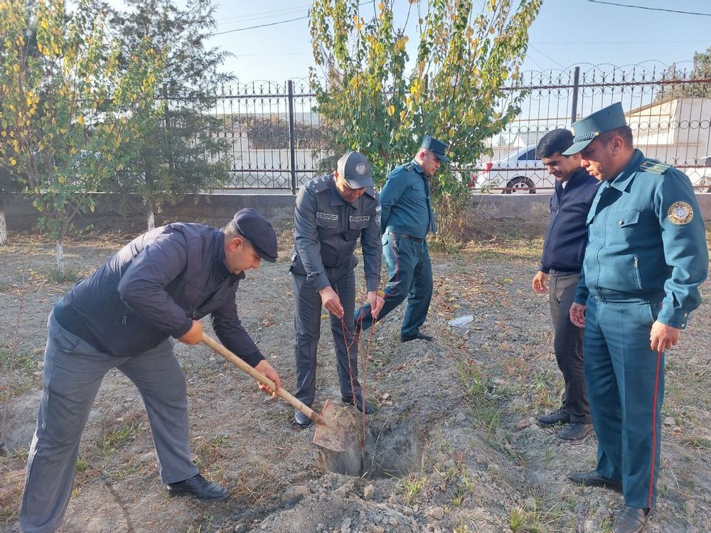 Ходимлар лойиҳада фаол