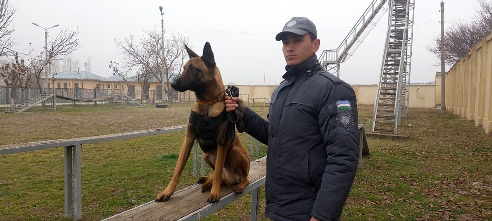Касб фидойиси