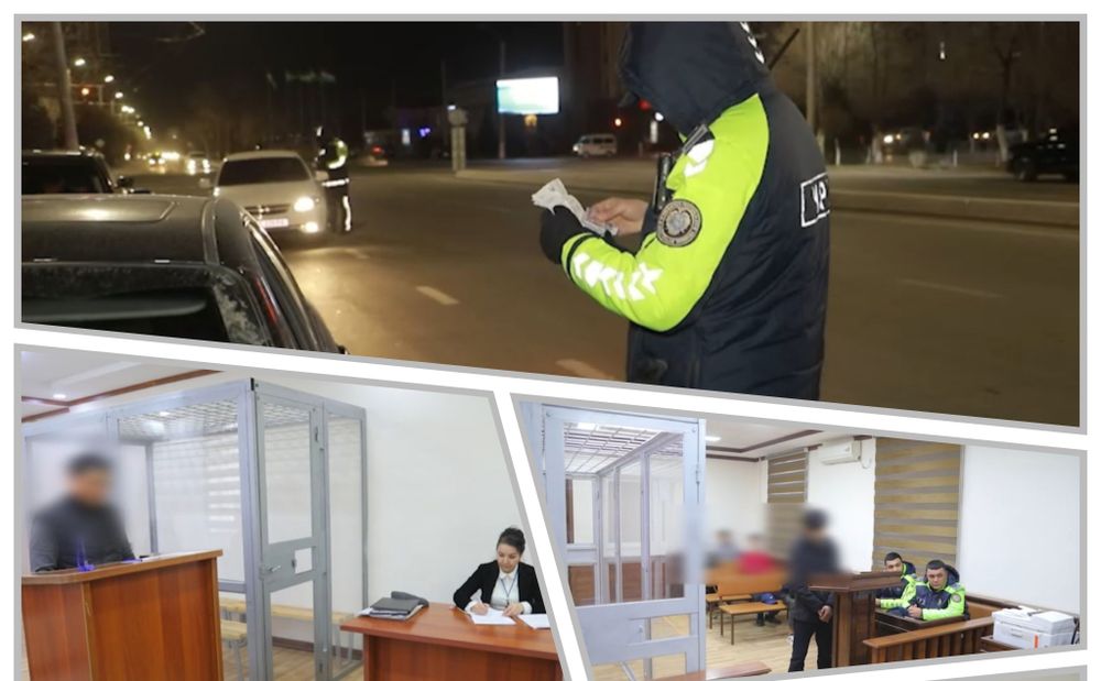 Qonunbuzarlarga cnora koʻrildi