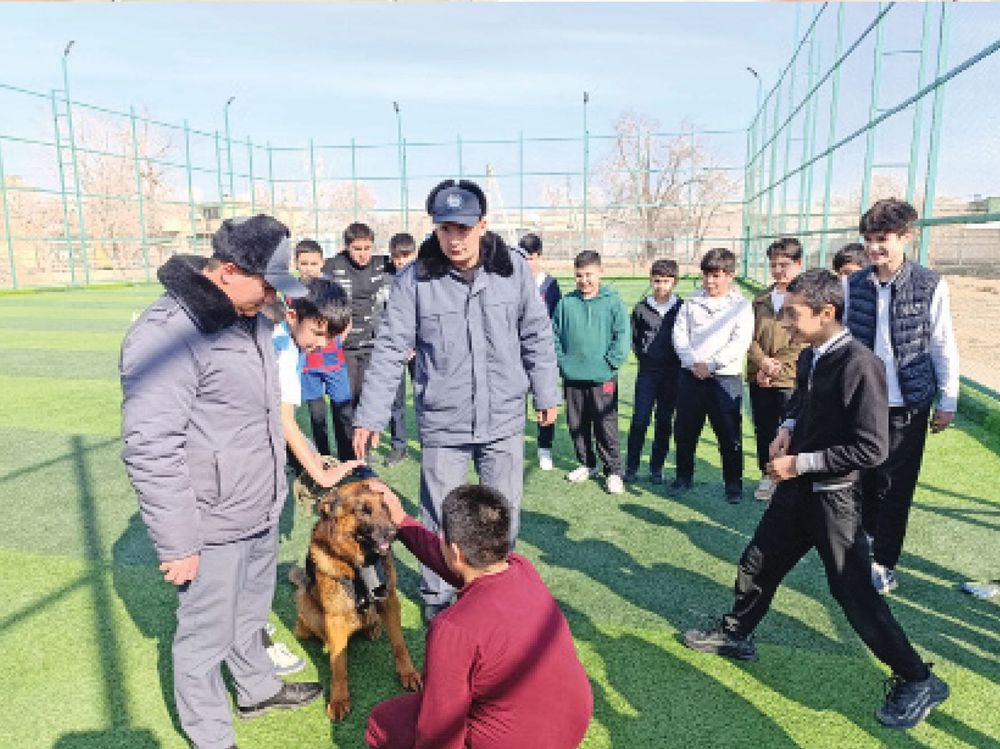 Садоқатли кўмакчилар