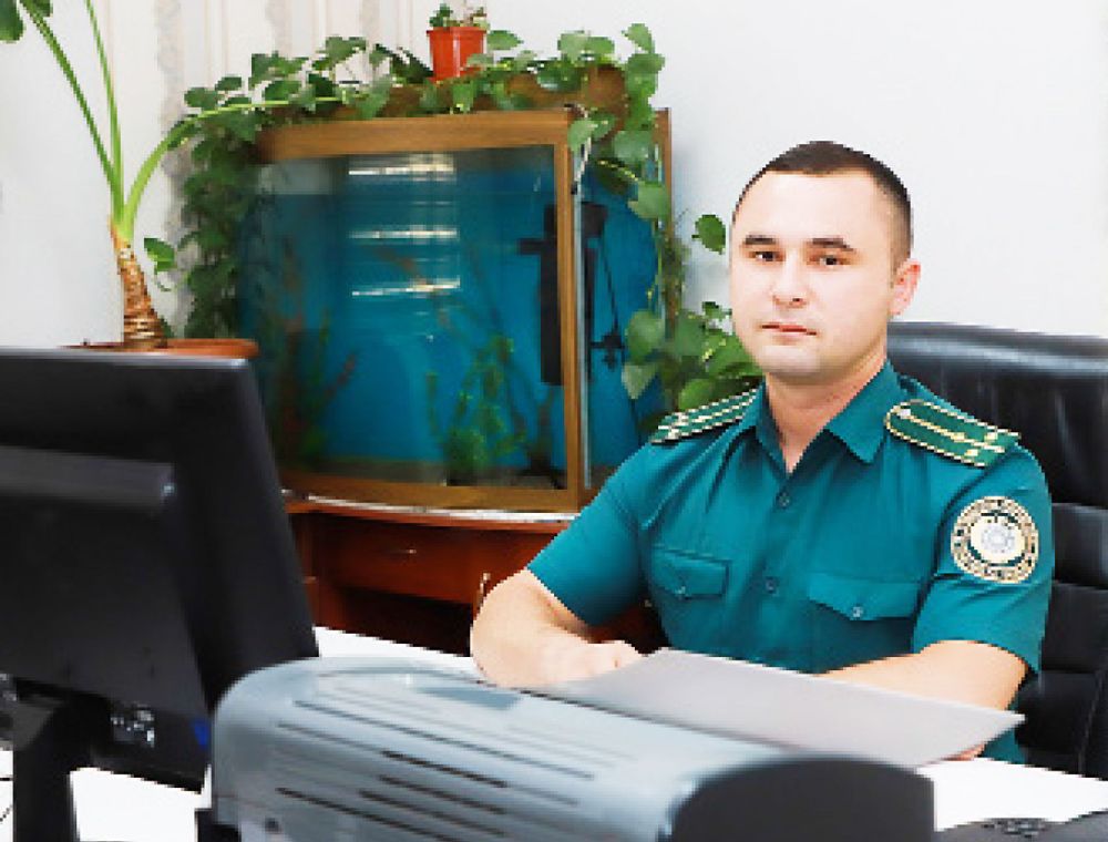 По новому принципу