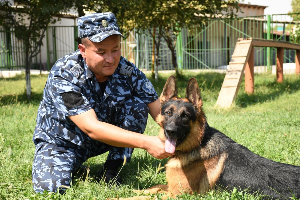 Касб фидойиси